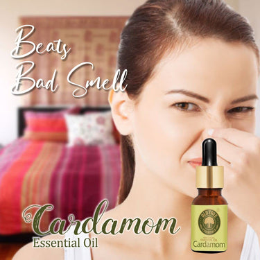 Old Tree Cardamom (Elaichi) Essential Oil (15ml) - For Skin, Hair Care, Fragrance, Soap Making, and Aromatherapy - Pure, Natural and Undiluted Perfume Oil with Glass Dropper